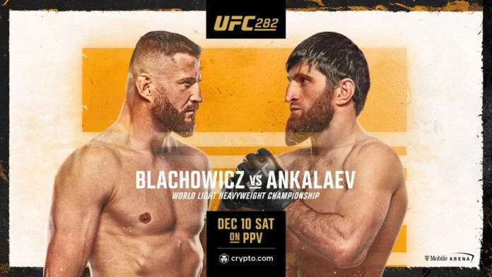   Affiche UFC 282